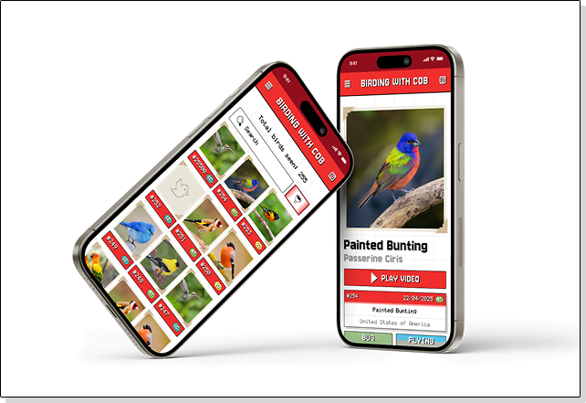 app-preview.png